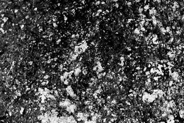 Seashore stone texture close-up. Monochrome natural abstract background