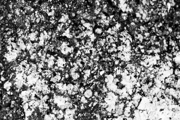 Seashore stone texture close-up. Monochrome natural abstract background