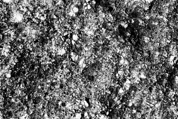 Seashore stone texture close-up. Monochrome natural abstract background