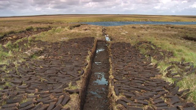 Wide view of a ditch by a lake, from which peat bricks were cut and laid to the side to dry