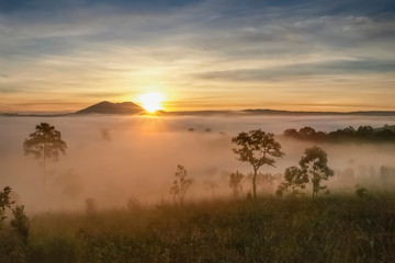 Naklejka na ściany i meble Mountain view misty morning on meadow around with sea of fog, peak mountain and yellow light light in cloudy sky background, sunrise at Thung Salang Luang National Park, Khao Kho, Phetchabun, Thailand