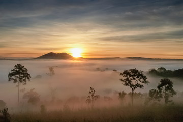 Mountain view misty morning on meadow around with sea of fog, peak mountain and yellow light light in cloudy sky background, sunrise at Thung Salang Luang National Park, Khao Kho, Phetchabun, Thailand