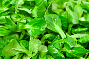 Fresh juicy green corn salad. Background. Top view.
