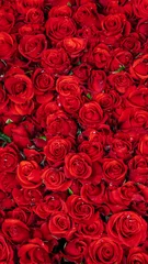 Deurstickers seamless background with red roses © Hide_Studio