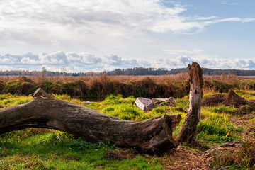 Narwiański Park Narodowy, Topilec, Podlasie, Polska © podlaski49