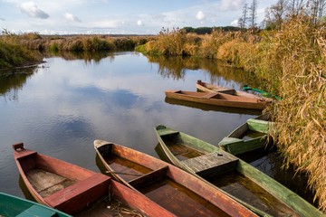 Narwiański Park Narodowy, Topilec, Podlasie, Polska © podlaski49