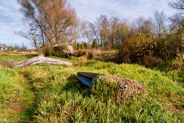Narwiański Park Narodowy, Topilec, Podlasie, Polska © podlaski49