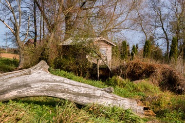 Narwiański Park Narodowy, Topilec, Podlasie, Polska © podlaski49