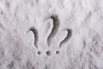 Three question mark on the night snow. Texture and background. Top view. Winter. Conсept