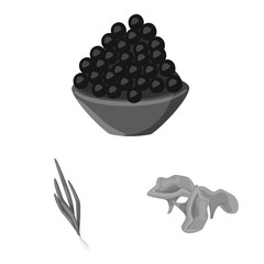 Isolated object of spices and aroma symbol. Set of spices and product stock symbol for web.