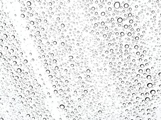 Abstract of water droplets on the glass with white background.