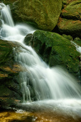 Maly Falls in super green forest surroundings, Czech Republic