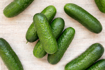 Ripe organic mini baby cucumbers on cloth, top view. Flat lay, overhead, from above.