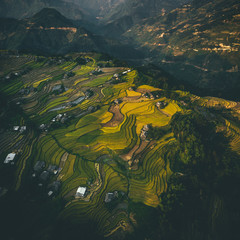 Vietnam's Rice Terraces