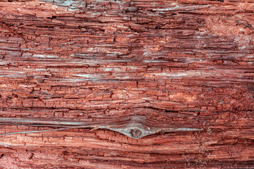 Closeup image of an old wooden board. shriveled tree trunk with a touch of ocher and knots. Background. Texture.