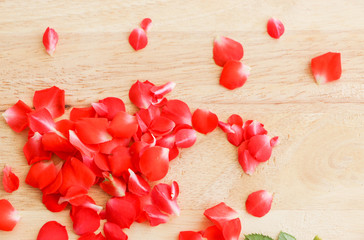 Red rose petals on the wood pattern