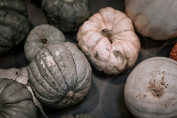Green and white pumpkins on display at the farmers market