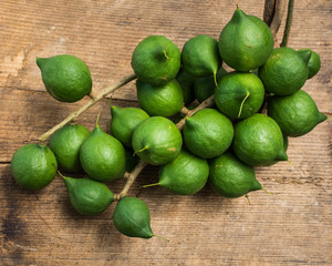 Macadamia, bunch of green nuts on a natural wooden background.