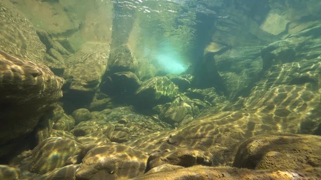 Underwater landscape in a rocky stream with clear water, La Muga river, Spain, Catalonia