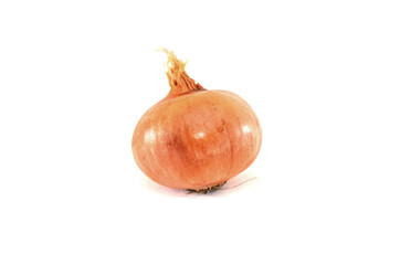 bow isolated on a white background.