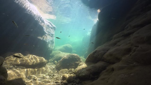 Underwater landscape, rocks with minnow fish in a river with clear water, natural light, Spain, La Muga, Catalonia