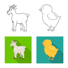 Vector illustration of breeding and kitchen icon. Collection of breeding and organic stock vector illustration.