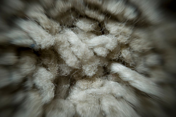 carpet material macro shot interesting view