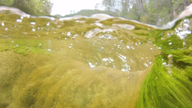 Water flowing in a rocky river, split view over and under water, Spain, La Muga, Catalonia
