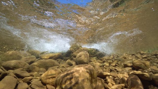 Water flowing with freshwater fish in rocky stream underwater, Spain, La Muga river, Catalonia
