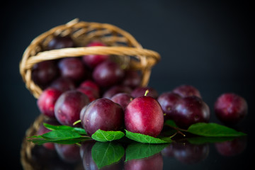 organic red ripe cherry plum isolated on black