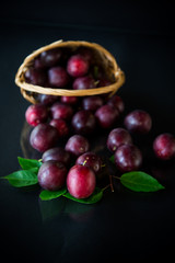 organic red ripe cherry plum isolated on black
