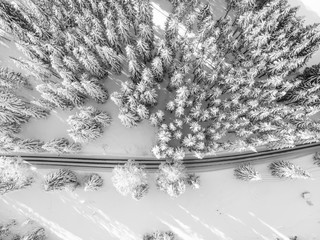A road between trees covered with snow.