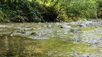 Fiume nel bosco sul sentiero delle meraviglie, Canton Ticino 