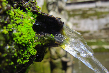 Fresh water in the mountains