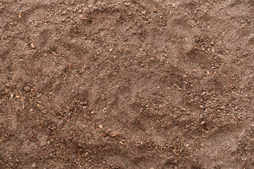 Texture of soil as background