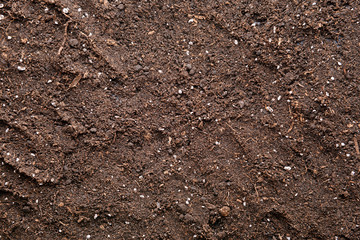 Texture of soil as background
