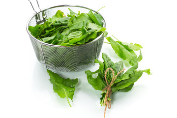 bunch of organic fresh green sorrel, on white background.