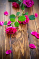 bouquet of beautiful red roses on a white