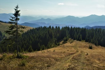  mountain ridge road