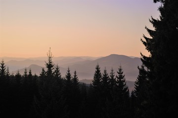 Fototapeta premium silhouette of morning forest on a background of mountains
