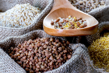 Mixture of grain on a wooden spoon.