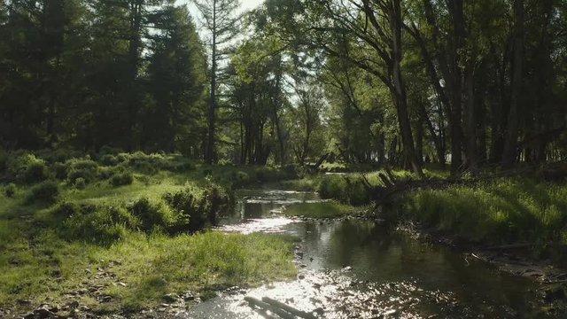 Beautiful aerial shot of a stream running along the forest landscape with sun rays beaming through the trees