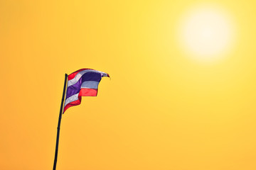 flag of Thailand flapping on green background