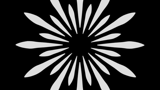 Graphic drawing in black and white with stroboscopic and hypnotic effect, while it rotates clockwise and increases in size, in 16: 9 video format