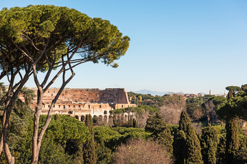 Fototapeta premium view on Coliseum from Palatine hills. Rome, Italy