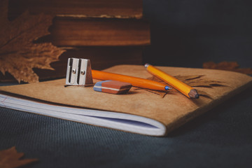 books, notebook, pencils for drawing with autumn leaves