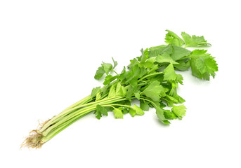 Fresh celery with root isolated on white background