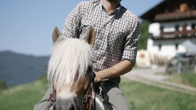 Man mounting a haflinger horse in the dolomites.