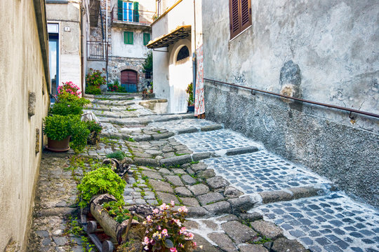Suggestive pathway of the Italian village of Tolfa in the Lazio Region with flower beds that surround the ancient road paved with Roman cobblestones and old-timer palaces facade