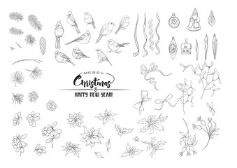 Winter birds, ribbons, Christmas decoration and wreath of spruce, pine, poinsettia, dog rose, cowberry, cranberry, fir. Set of elements for design. Outline hand drawing vector illustration..